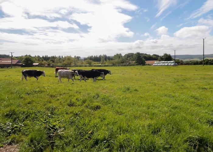 Heron Nest * Scarborough