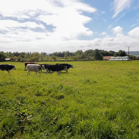 Heron Nest * Scarborough